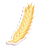 Beer Grain