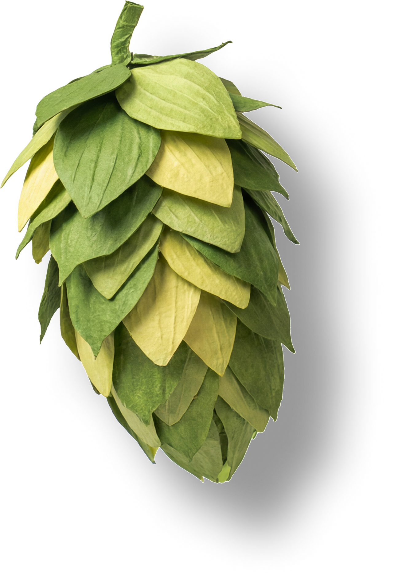 Green Beer